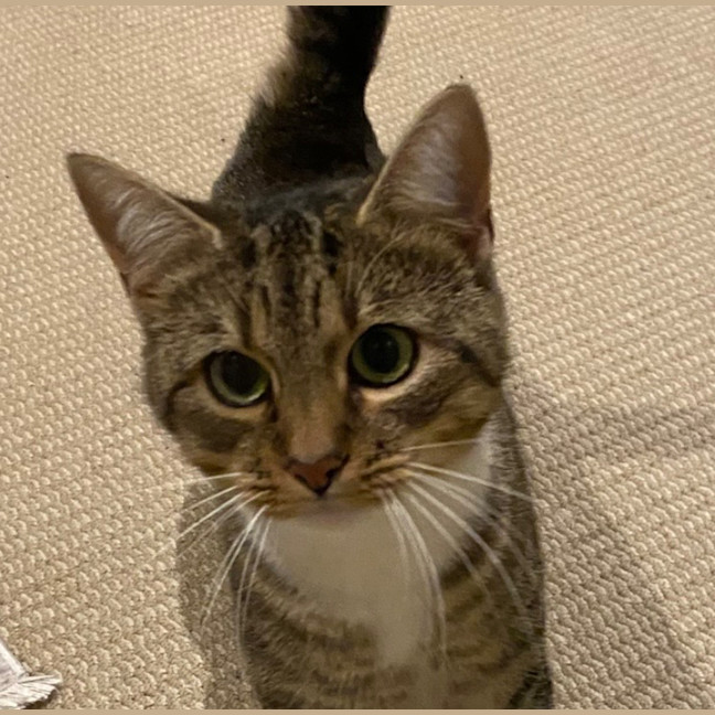 Photo of Maggie
