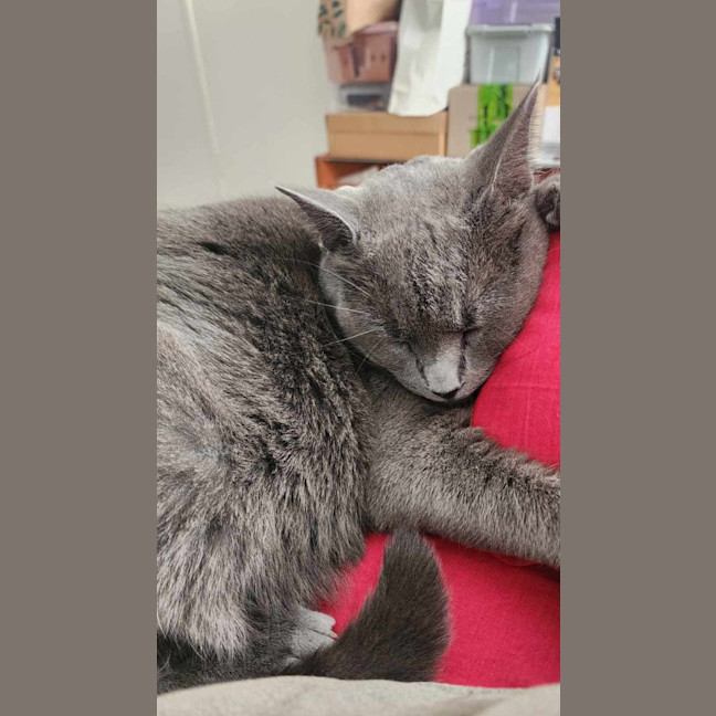 Photo of Joy