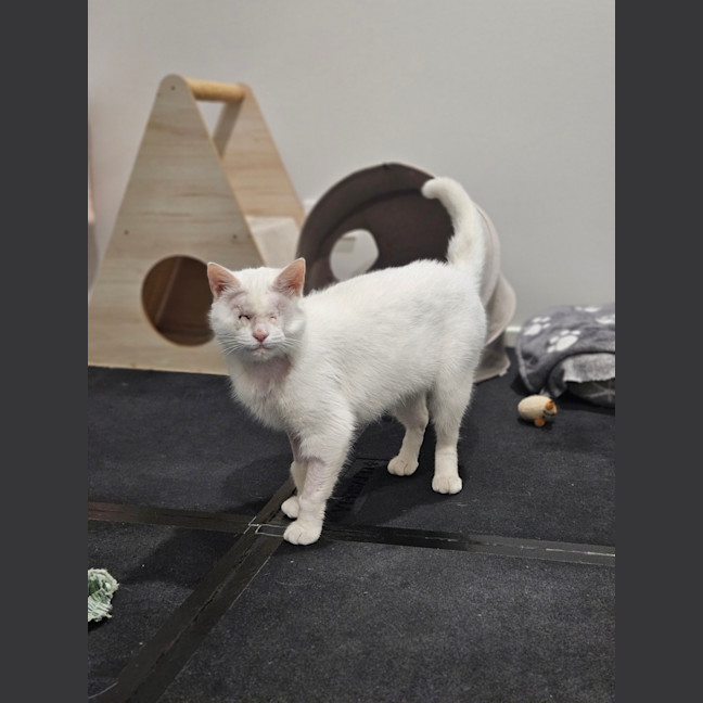 Photo of Tilly
