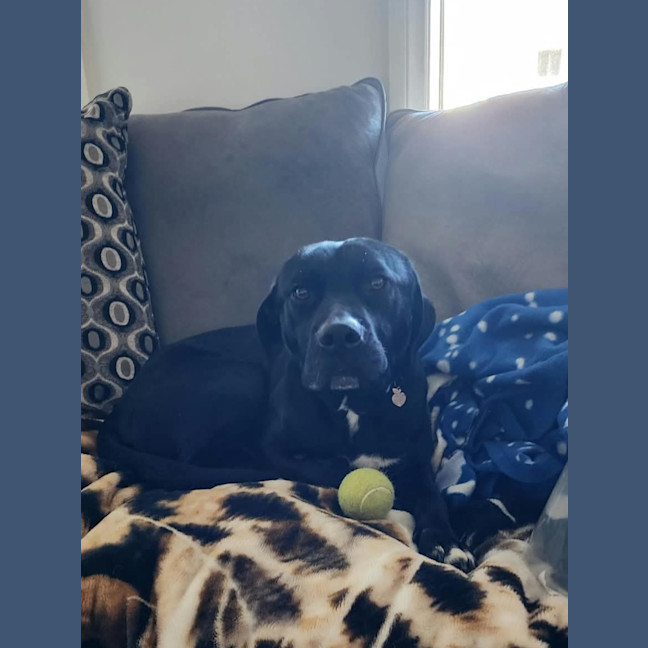Photo of Missy