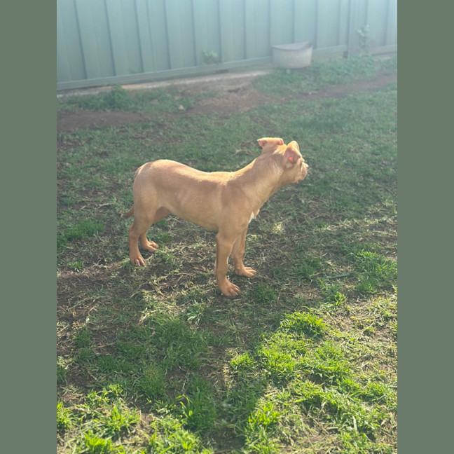 Photo of Benny