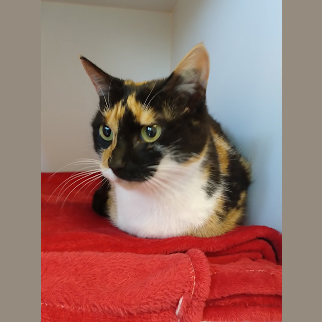 Photo of Tuna