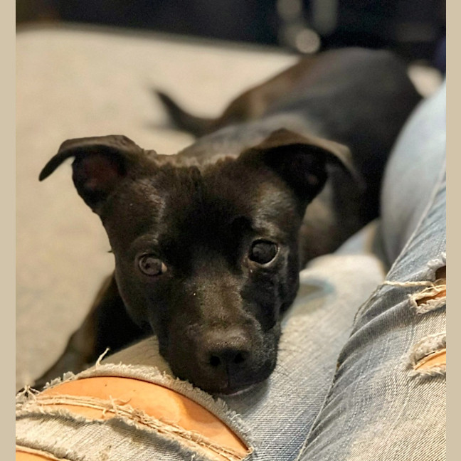 Photo of Jeff (Was Jet)