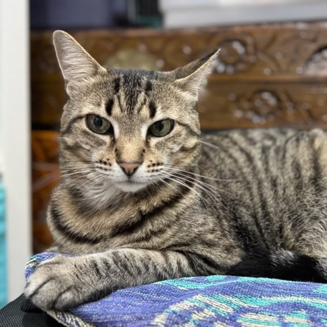Photo of Kizzie