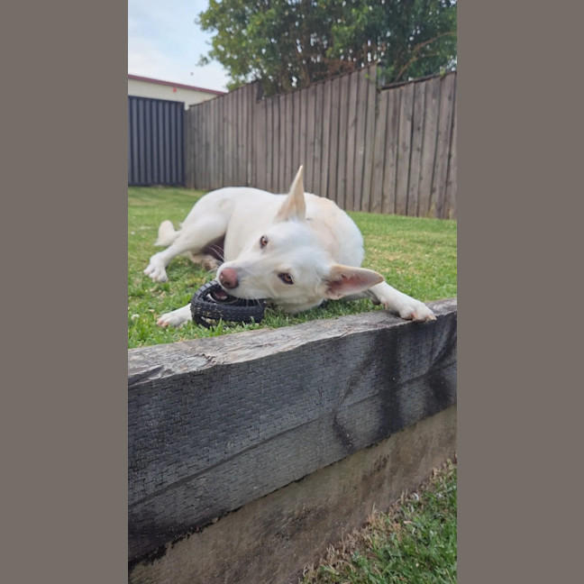 Photo of Snowy