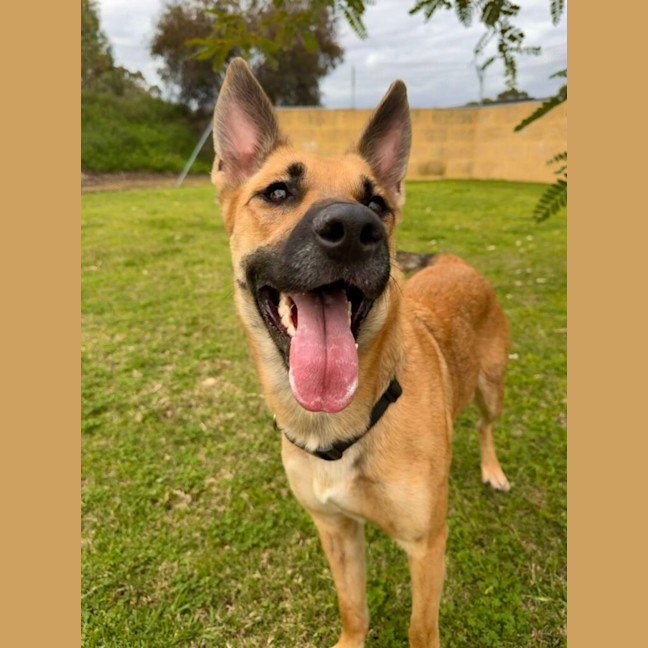 Photo of Macey