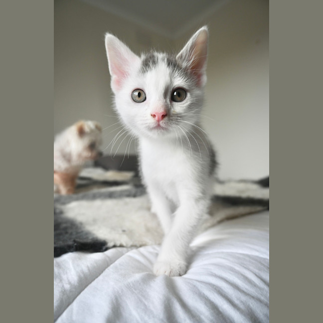 Photo of Tommy