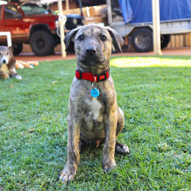 Photo of Bob