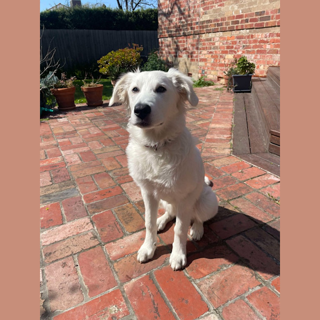Photo of Mabel