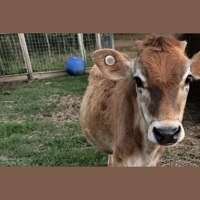 Photo of Summer And Paddy