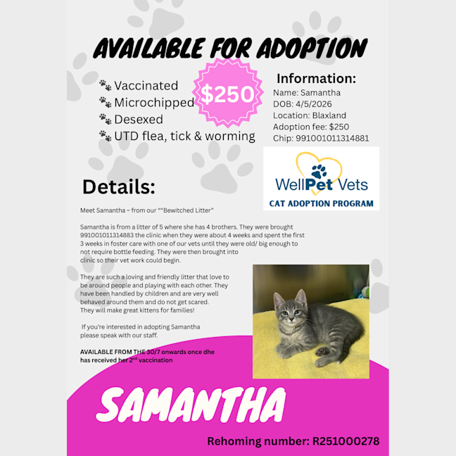 Photo of Samantha 