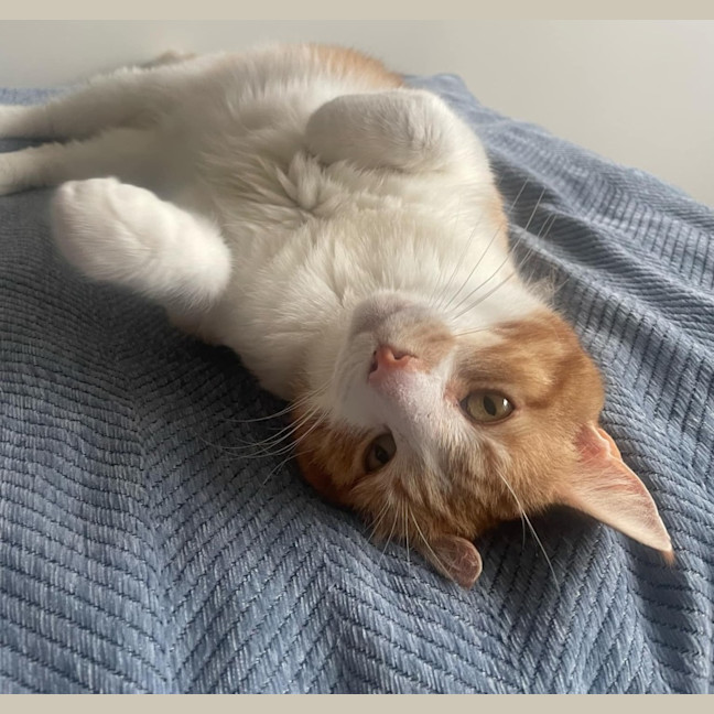 Photo of Willy Wonka