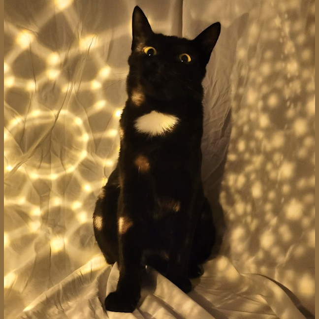 Photo of Kleo