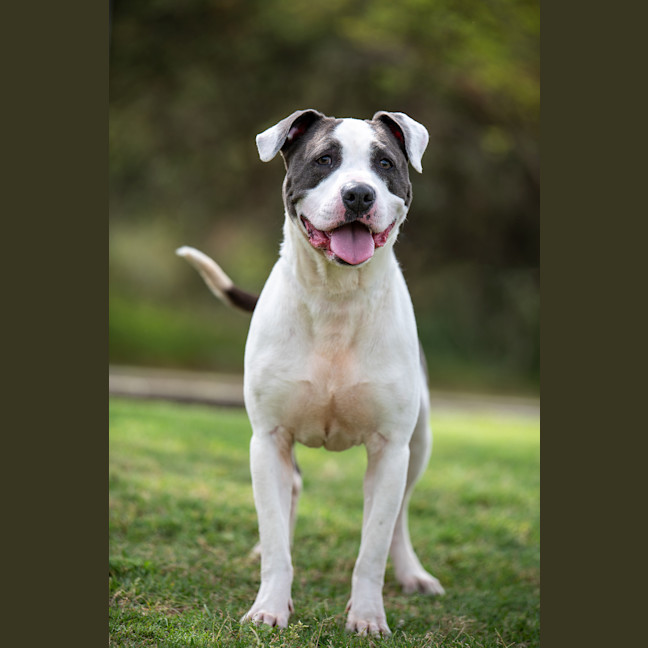 Photo of Zeus