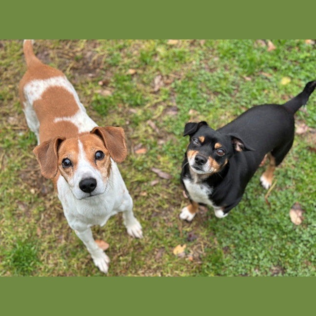 Photo of Mako & Buddy 