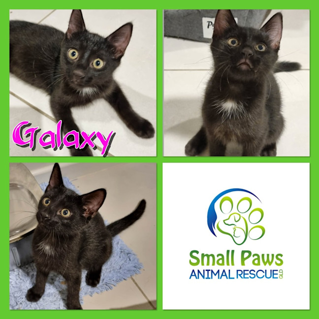 Photo of Galaxy
