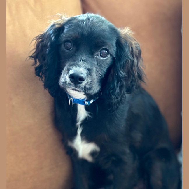 Photo of Marty