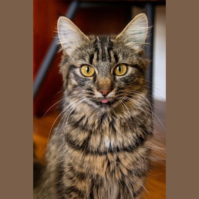 Photo of Arya