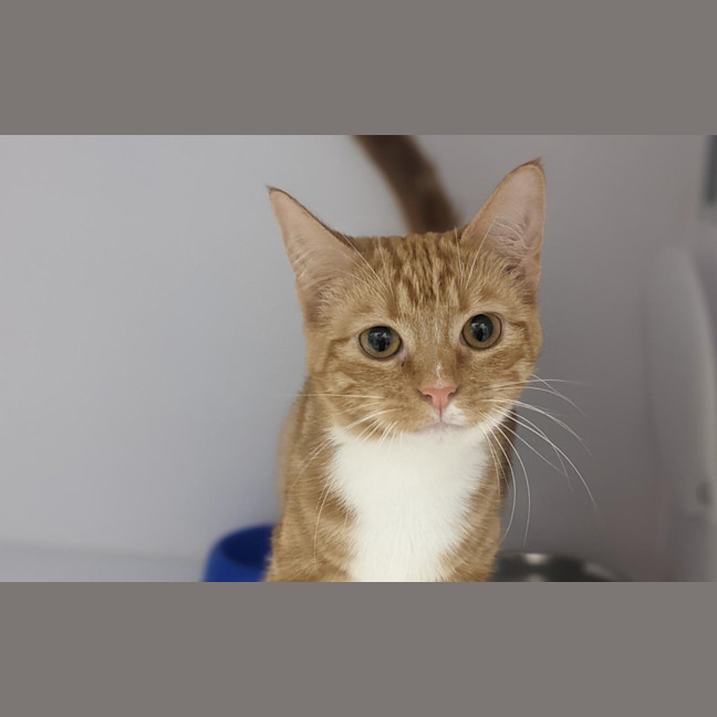 Photo of Jemima
