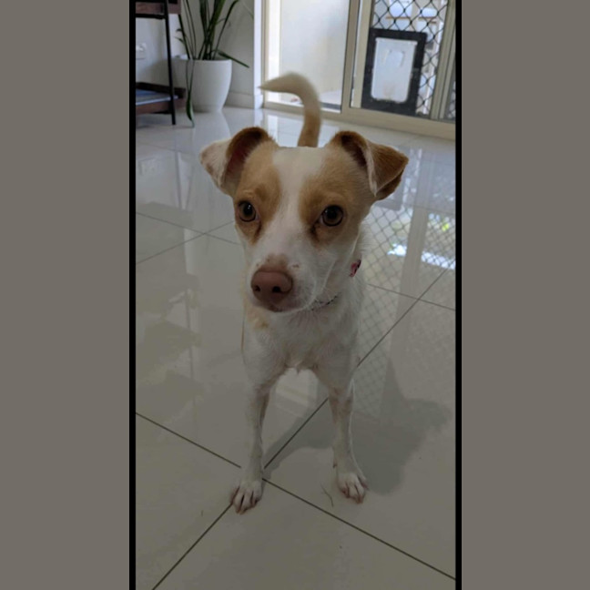 Photo of Bella
