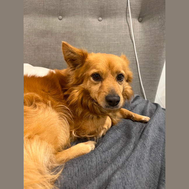 Photo of Bear   The Real Life Teddy 