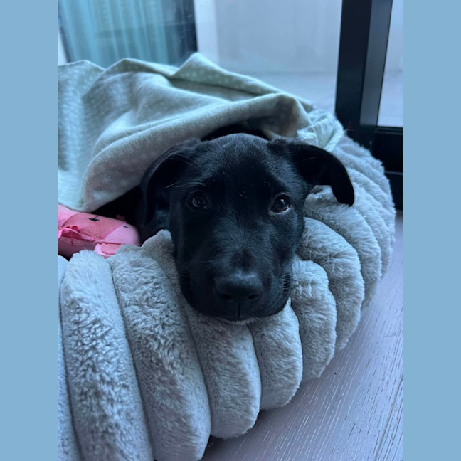 Photo of Nickel