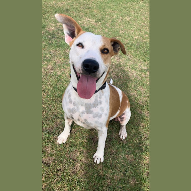 Photo of Doug (65435)