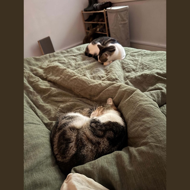 Photo of Polly