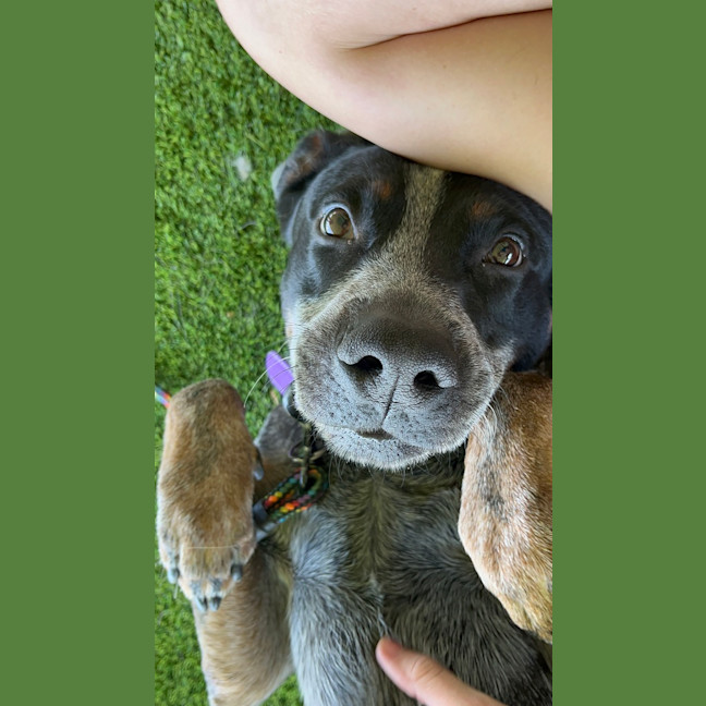 Photo of Moe