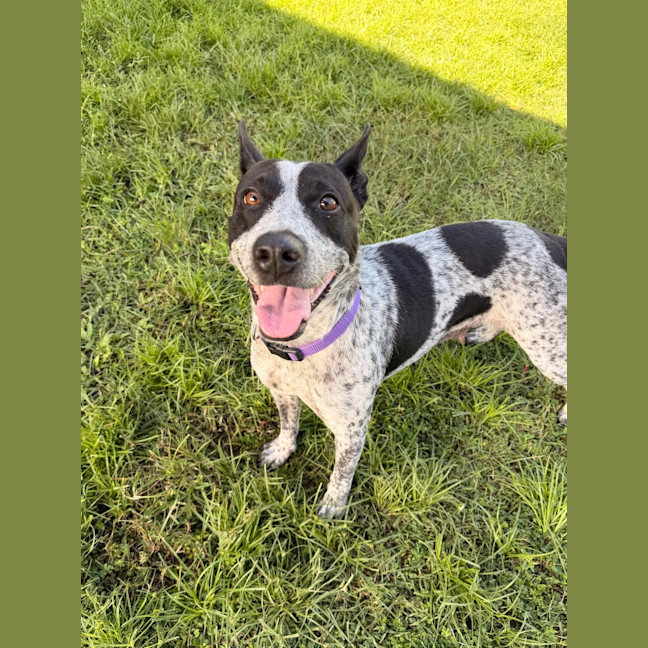 Photo of Bobbi