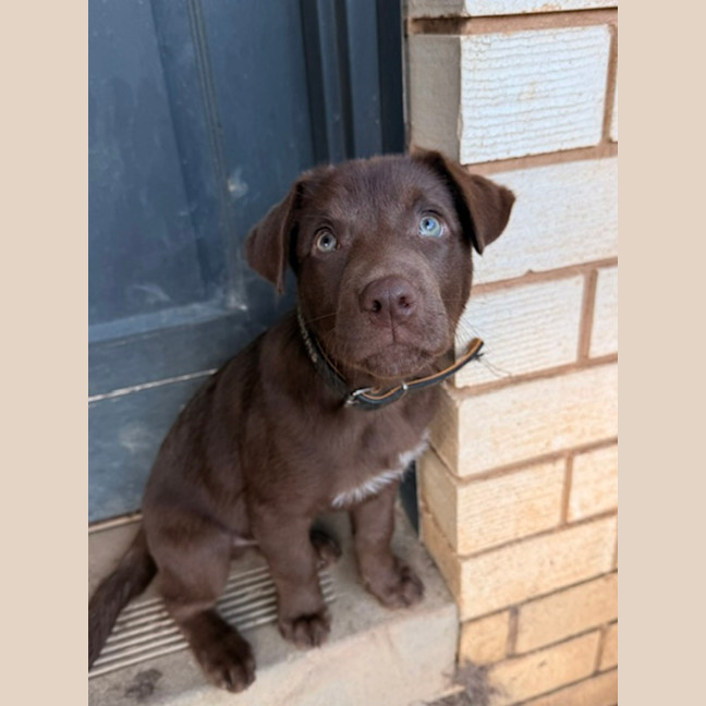 Photo of Twix