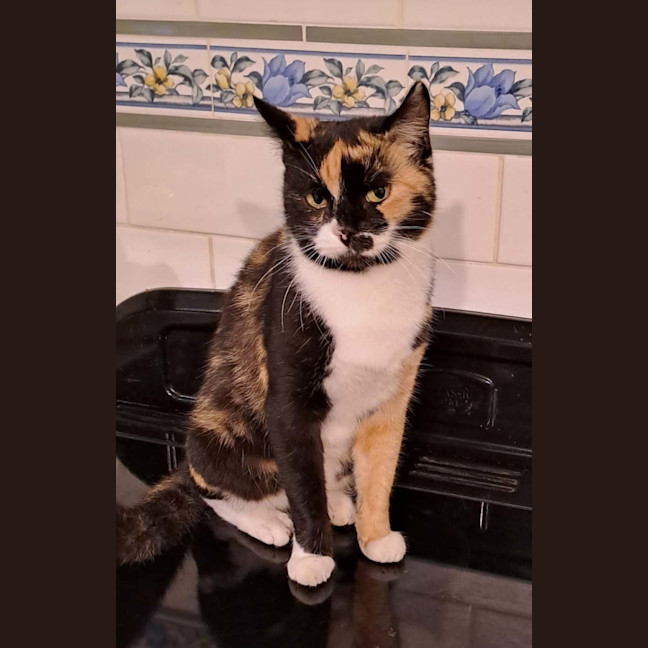 Photo of Agnes