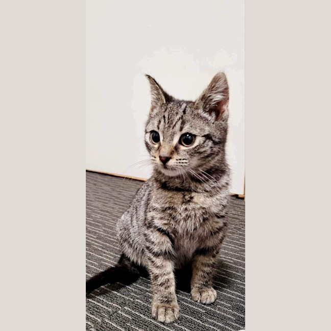 Photo of Monty