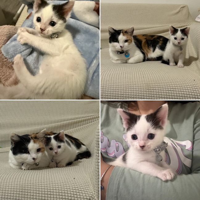 Photo of Josie (With Margo)