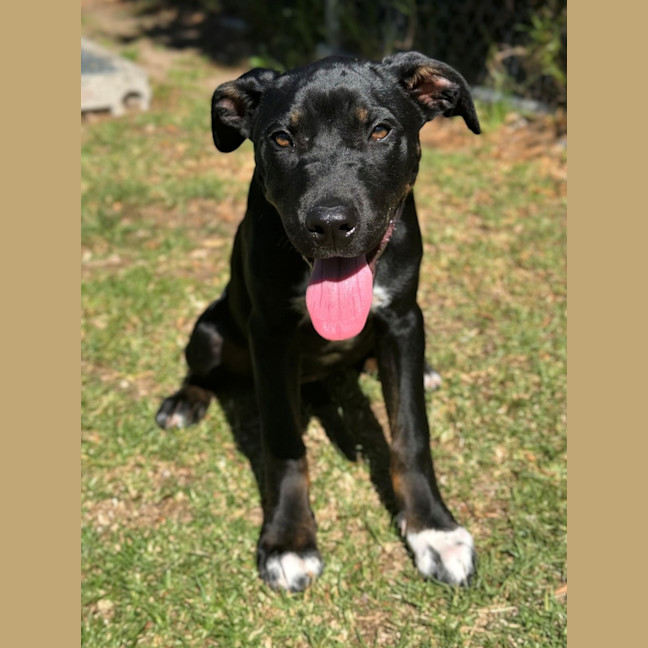 Photo of Roo