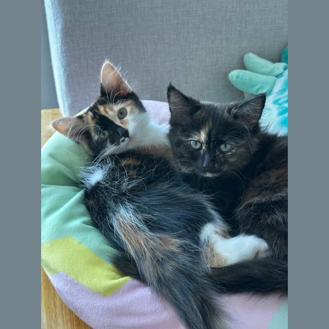 Photo of Nutmeg & Cinnamon