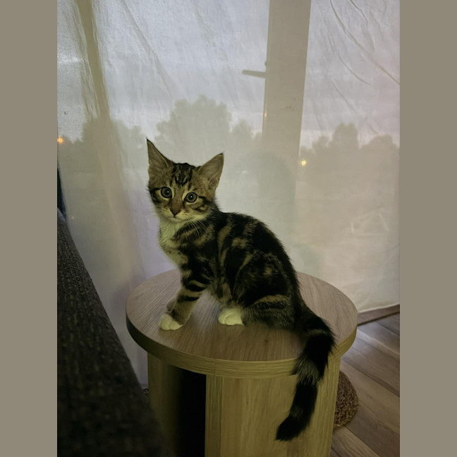 Photo of Tyrone & Miranda