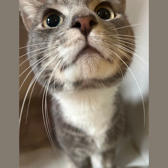 Photo of Alby