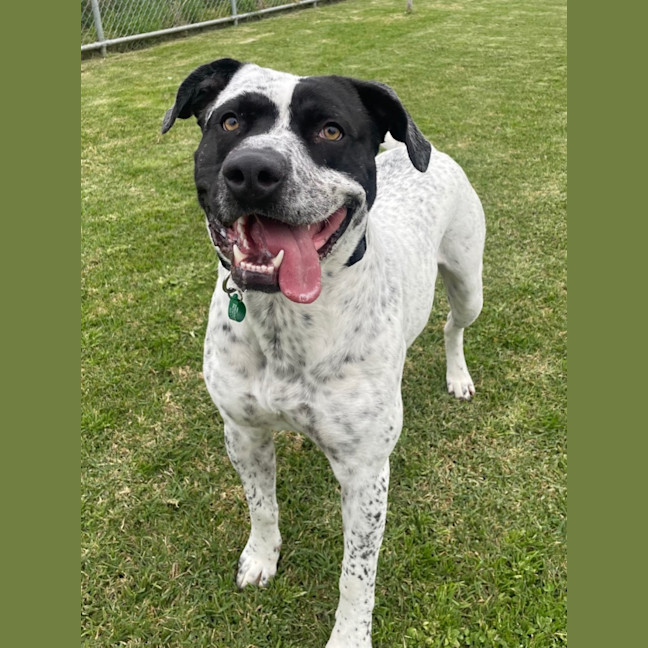 Photo of Jackie Chan