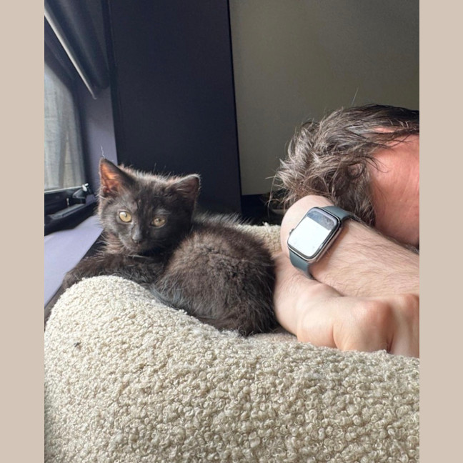 Photo of Guinness Aka Blake 