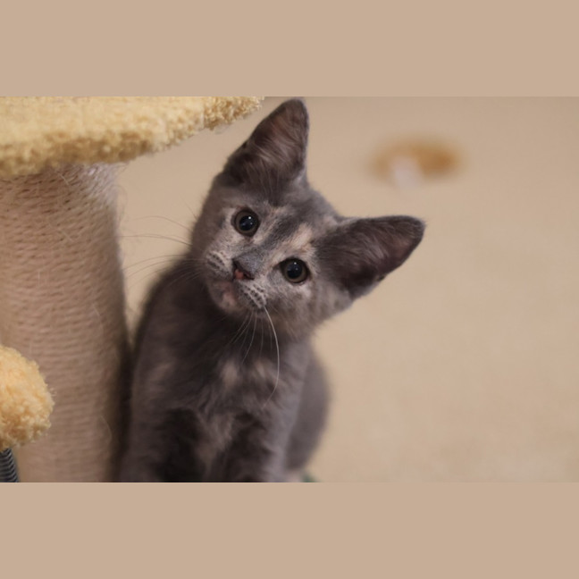 Photo of Bettina 