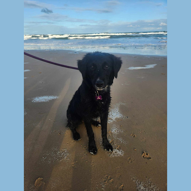 Photo of Lilly