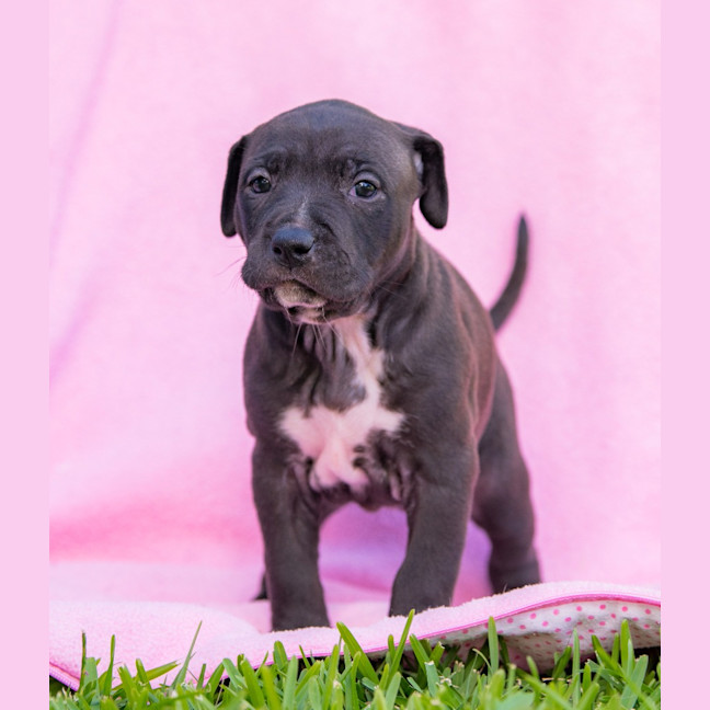 Photo of Coffee Ripple