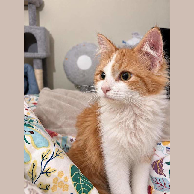 Photo of Alice
