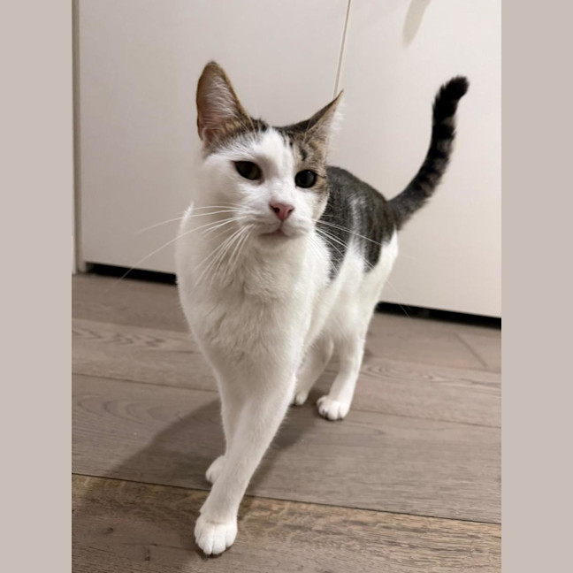 Photo of Mia Boy