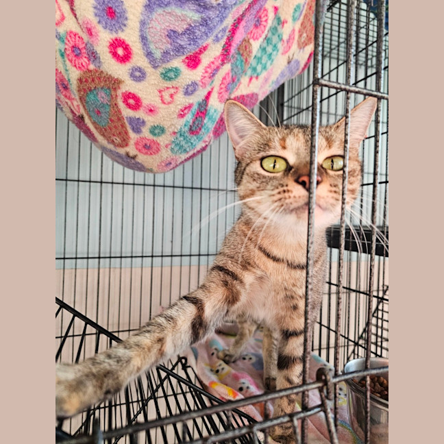 Photo of Ramona
