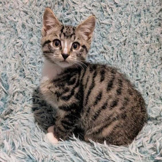 Photo of Timmy