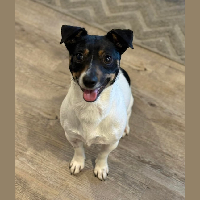 Photo of Little Bean 