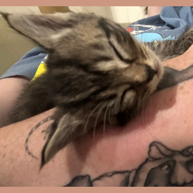 Photo of Clementine