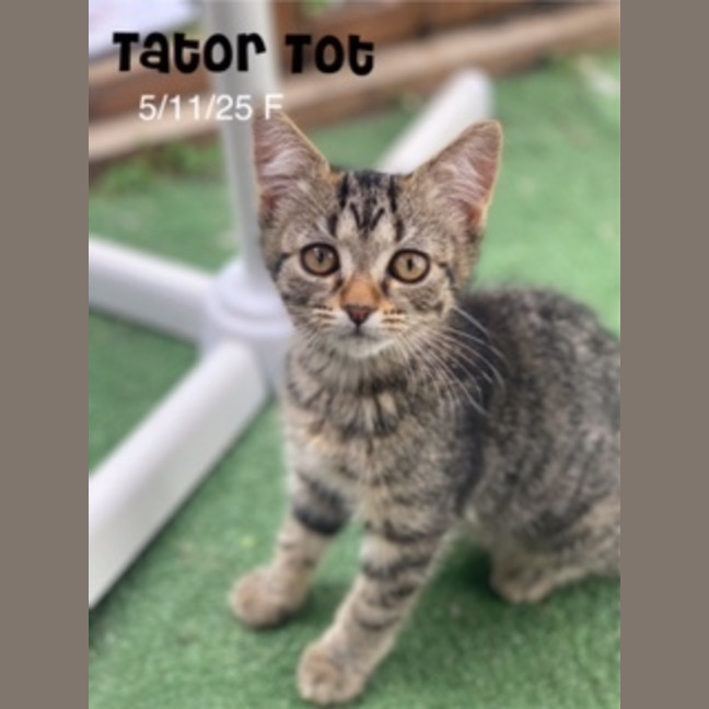 Photo of Miss Tatortot